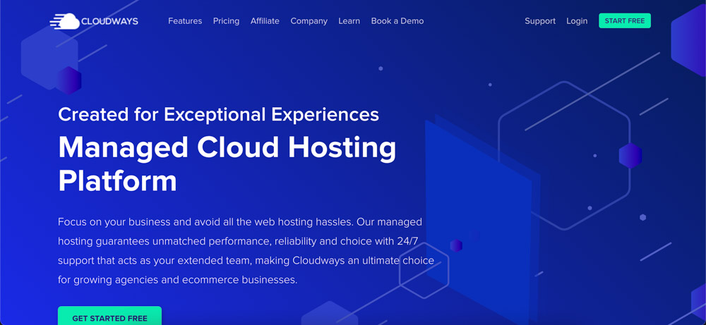 Brown Surfing Hosting Providers Cloudways